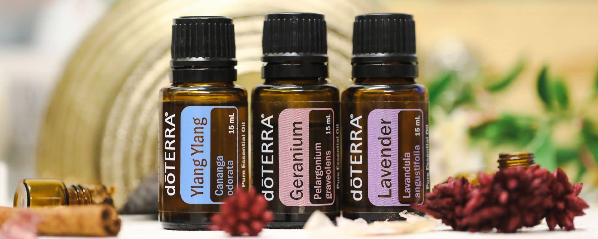 5 důvodů, proč jsem nechala esenciální oleje doTerra a začala používat Plant Therapy